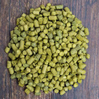 Home Brewing Simcoe 2020 Harvest Same Day P&P - Freshest T90 Pellet Hops 