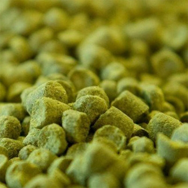 Use at Boil Or Dry Hopping for A Perfect Flavouring to Your Finished Beer Beer Brewing Organic Ingredients for Craft Ale 100g of The Freshest UK Pellet Variety 2019 Crop Chinook Hops Pellets 